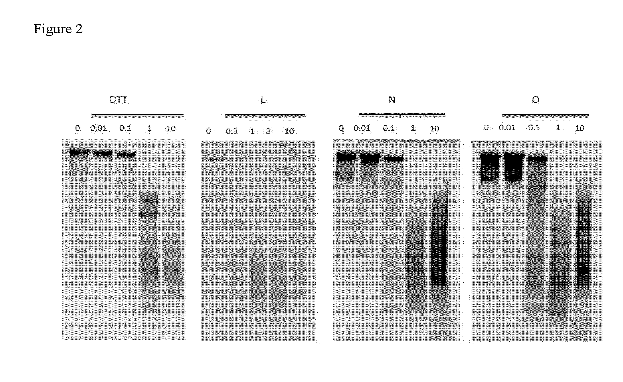 Dithiol mucolytic agents