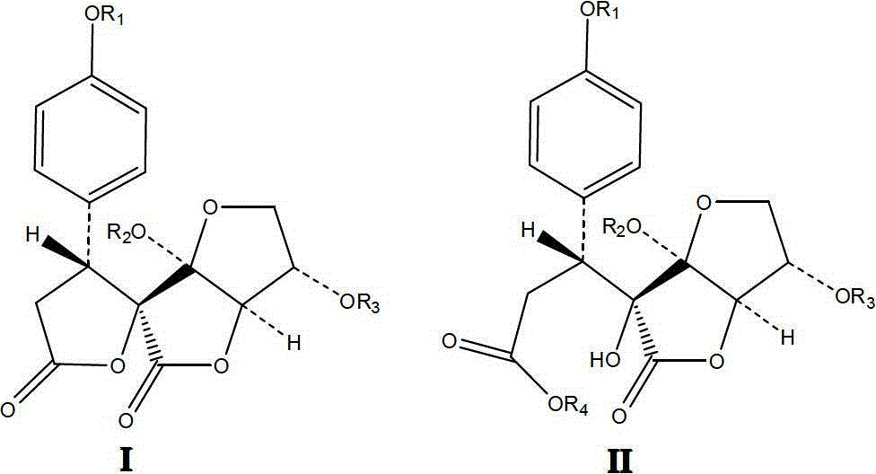 Gamma-lactone derivative as well as application and preparation method thereof