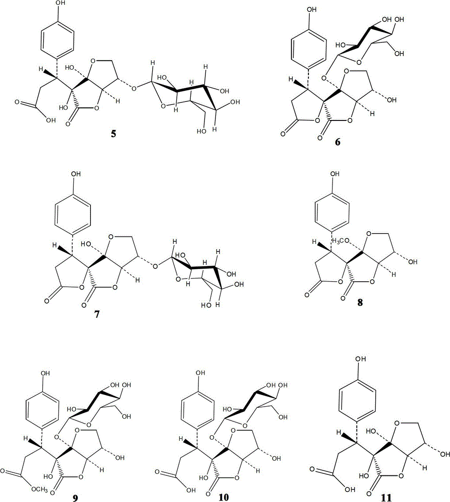 Gamma-lactone derivative as well as application and preparation method thereof