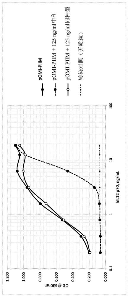 Multigene construct for immune-modulatory protein expression and methods of use