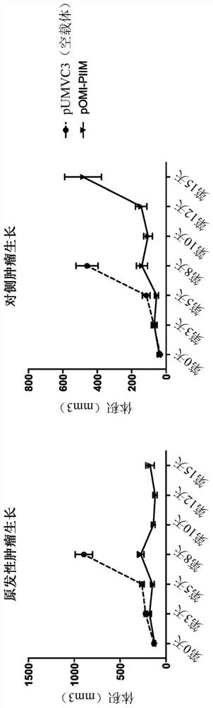 Multigene construct for immune-modulatory protein expression and methods of use