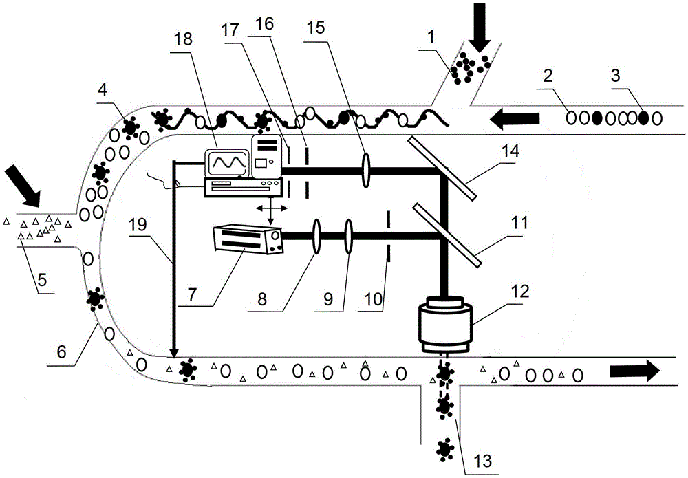 A microfluidic system and method for single-beam biological cell detection and screening