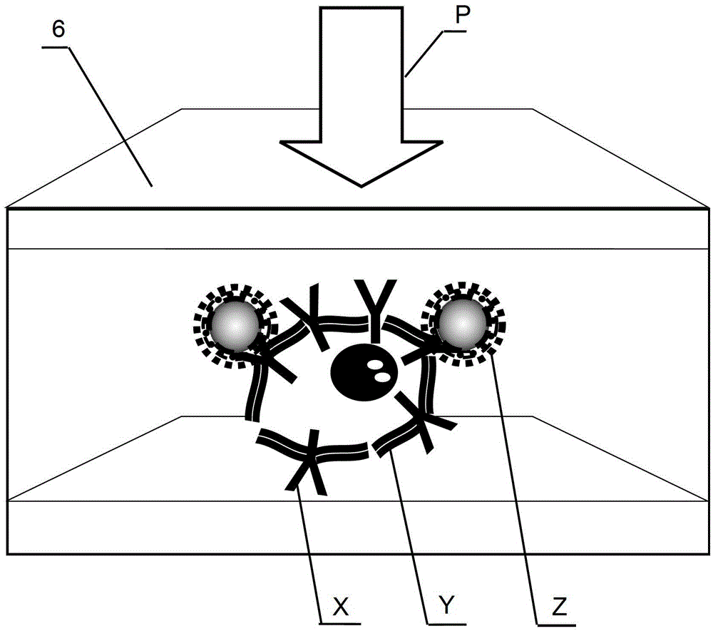 A microfluidic system and method for single-beam biological cell detection and screening