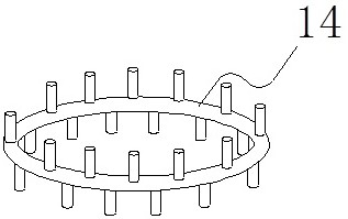 A kind of fluidized bed reactor with internal circulation of various catalysts and its hydrogenation method