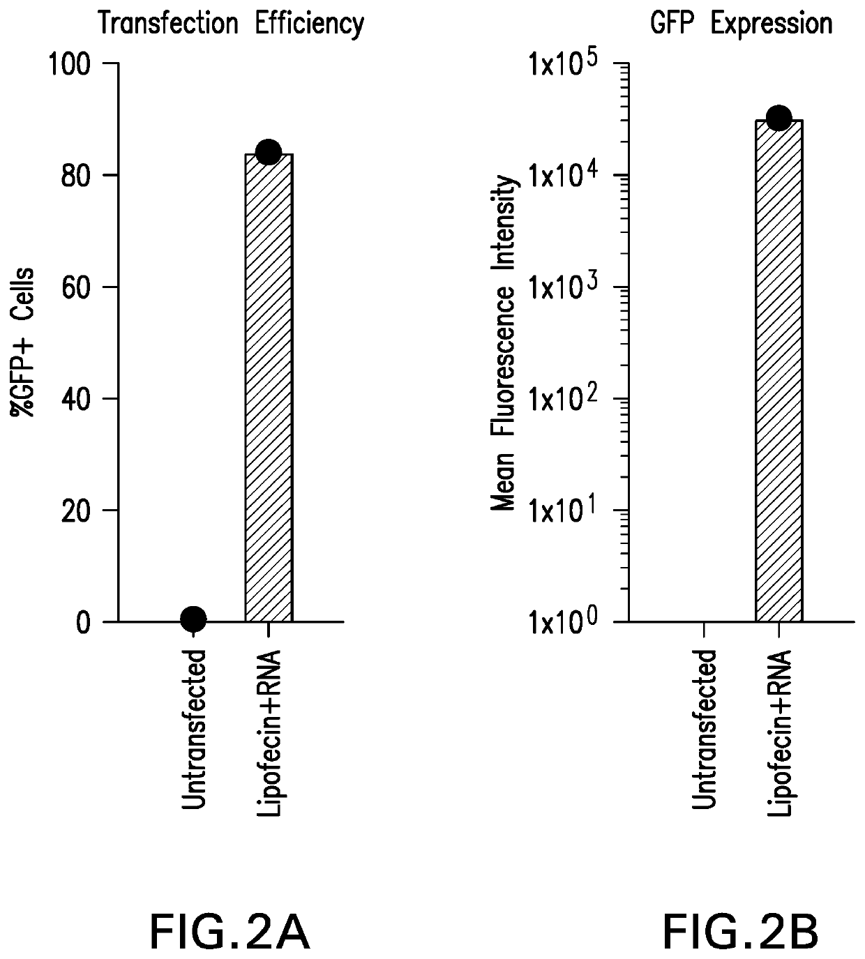 Pathogen-associated molecular pattern molecules and RNA immunogenic compositions and methods of using the compositions for treating cancer