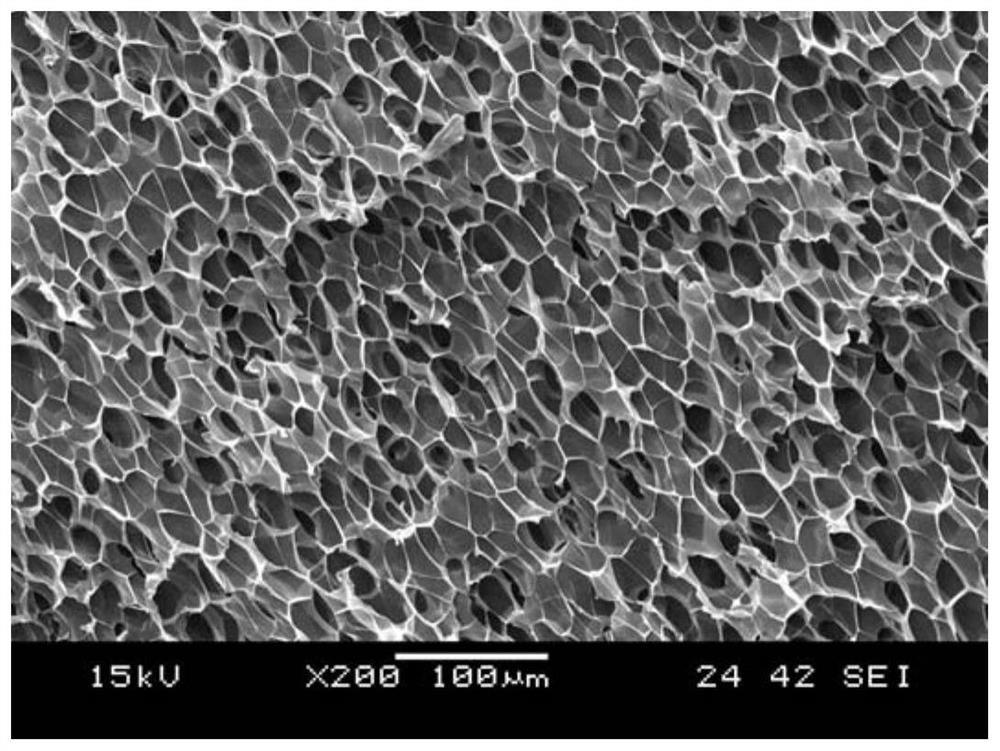 A kind of low-density polypropylene foam with thermal insulation performance and its preparation method and application