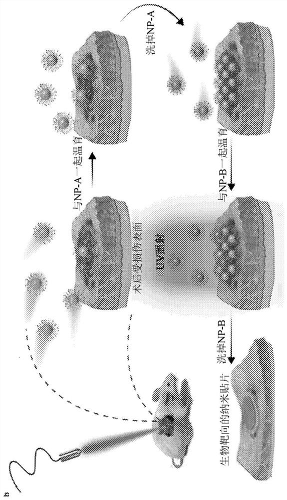 Compositions and methods for inhibiting post-surgical adhesions