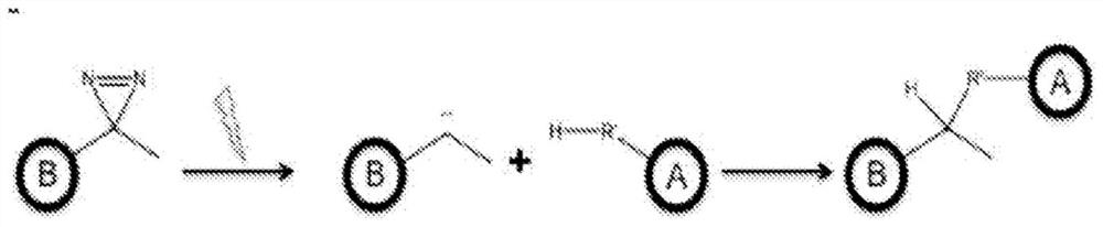 Compositions and methods for inhibiting post-surgical adhesions