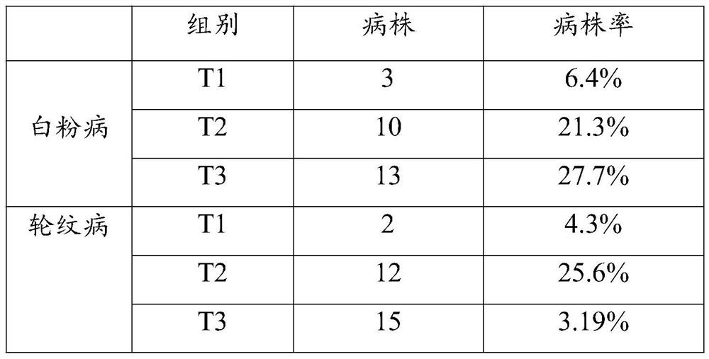 Fruit tree disease prevention fertilizer and preparation method thereof