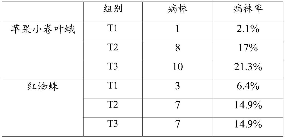 Fruit tree disease prevention fertilizer and preparation method thereof