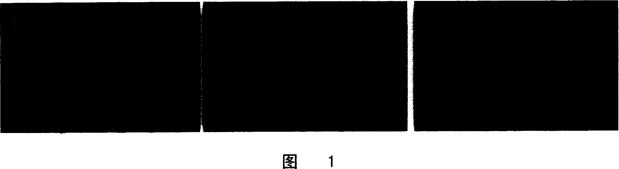 Function and use of MNSF-beta gene during process of embryo nidation