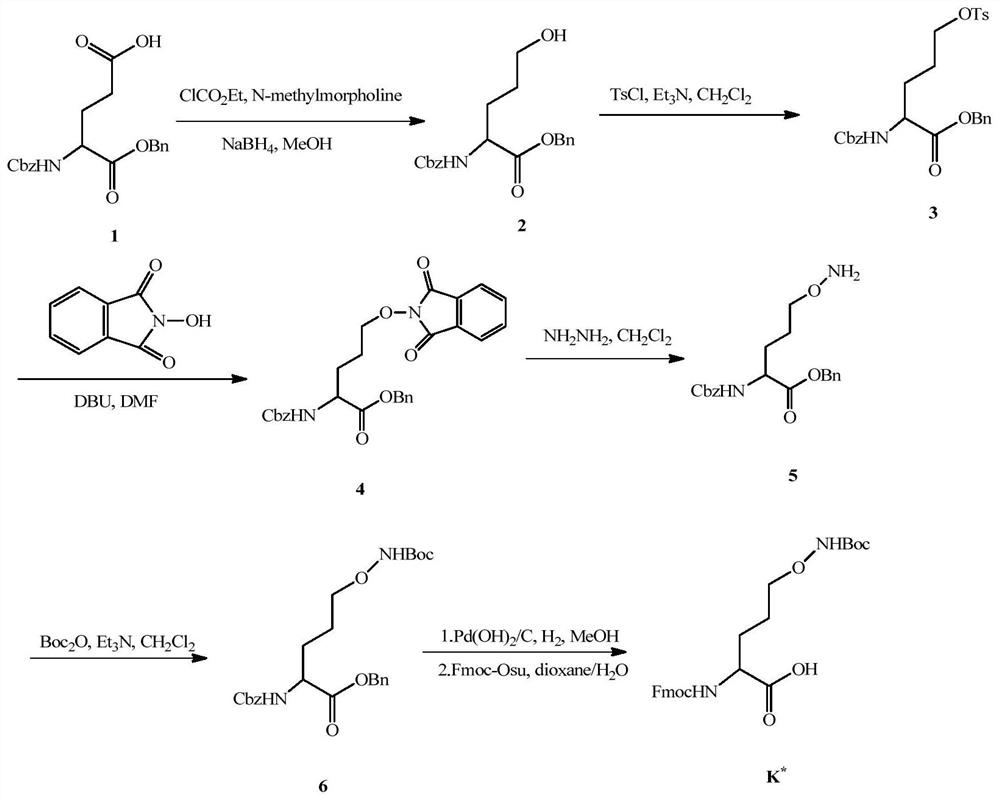 Exenatide analogs with hydroxylamine groups and applications thereof