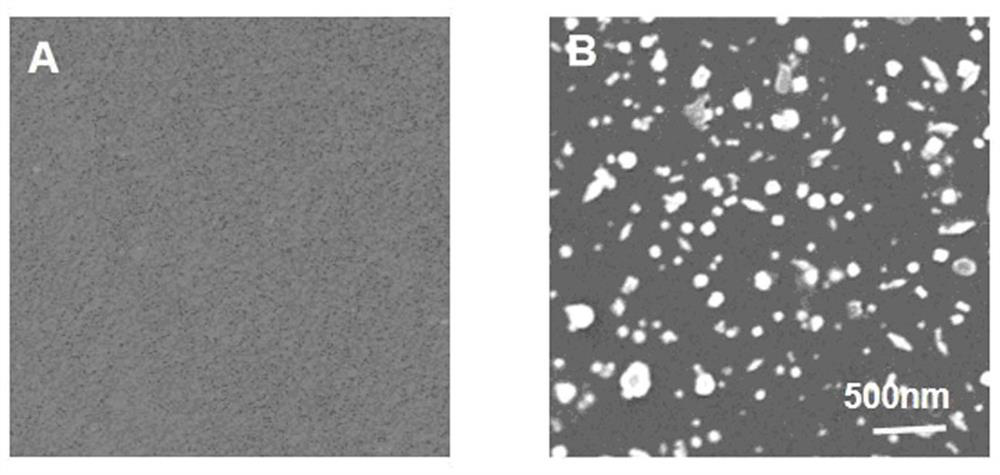 A kind of flexible membrane material and preparation method thereof for SERS detection