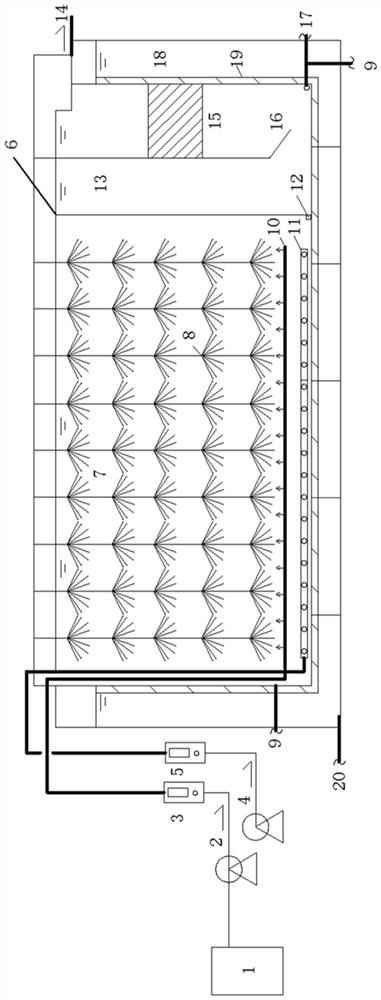 Quick starting method and device for autotrophic nitrogen removal of low-concentration wastewater