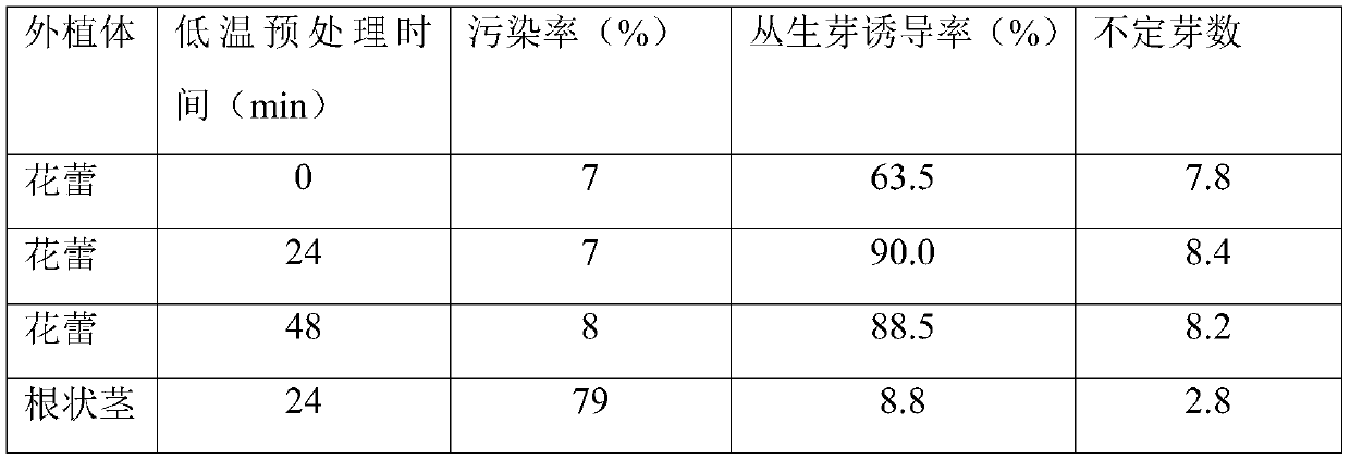 A method for tissue culture and rapid propagation of Polygonatum longiflorum