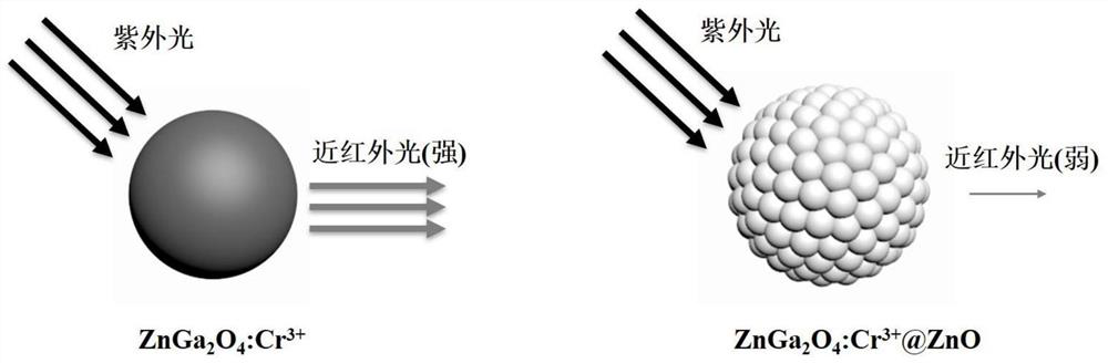 Metal early corrosion probe and preparation method thereof