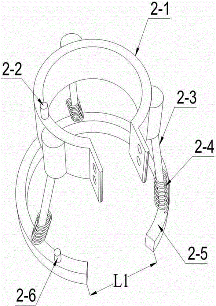 Landscaping tree fixing and righting device and use method thereof