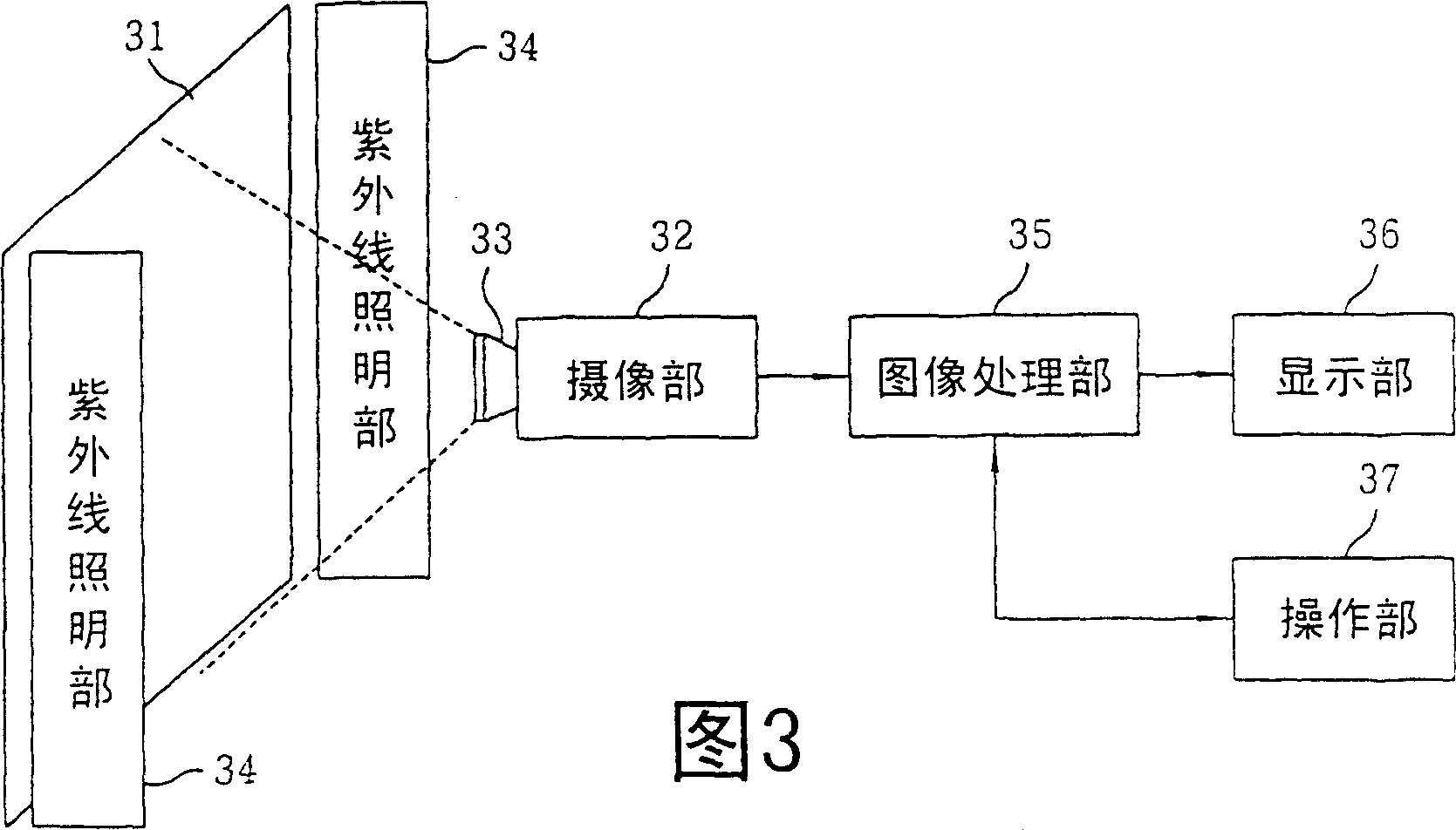 Fluorophor detecting method and fluorophor detecting apparatus