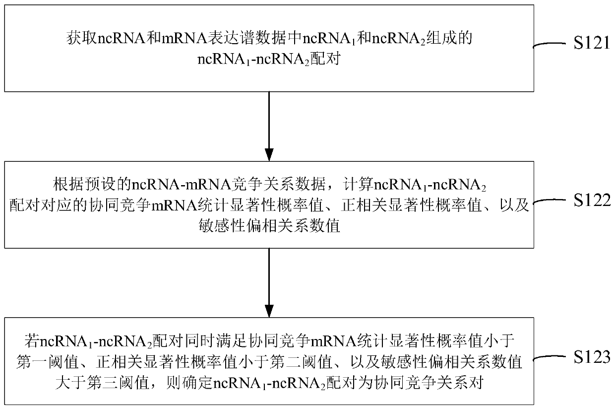 NcRNA collaborative competition network identification method and device