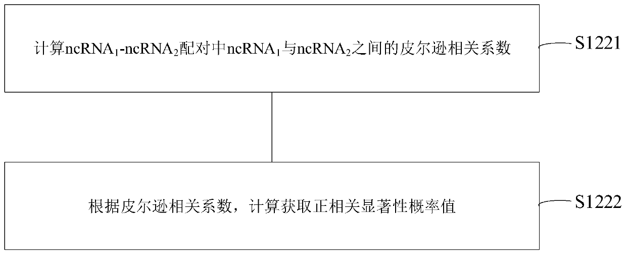 NcRNA collaborative competition network identification method and device