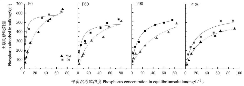 Intercropping planting mode with red soil phosphorus adsorption and desorption balance effect and research method of intercropping planting mode