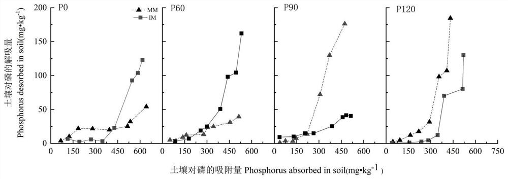 Intercropping planting mode with red soil phosphorus adsorption and desorption balance effect and research method of intercropping planting mode