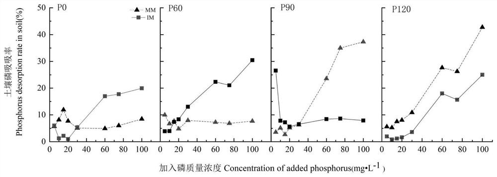 Intercropping planting mode with red soil phosphorus adsorption and desorption balance effect and research method of intercropping planting mode