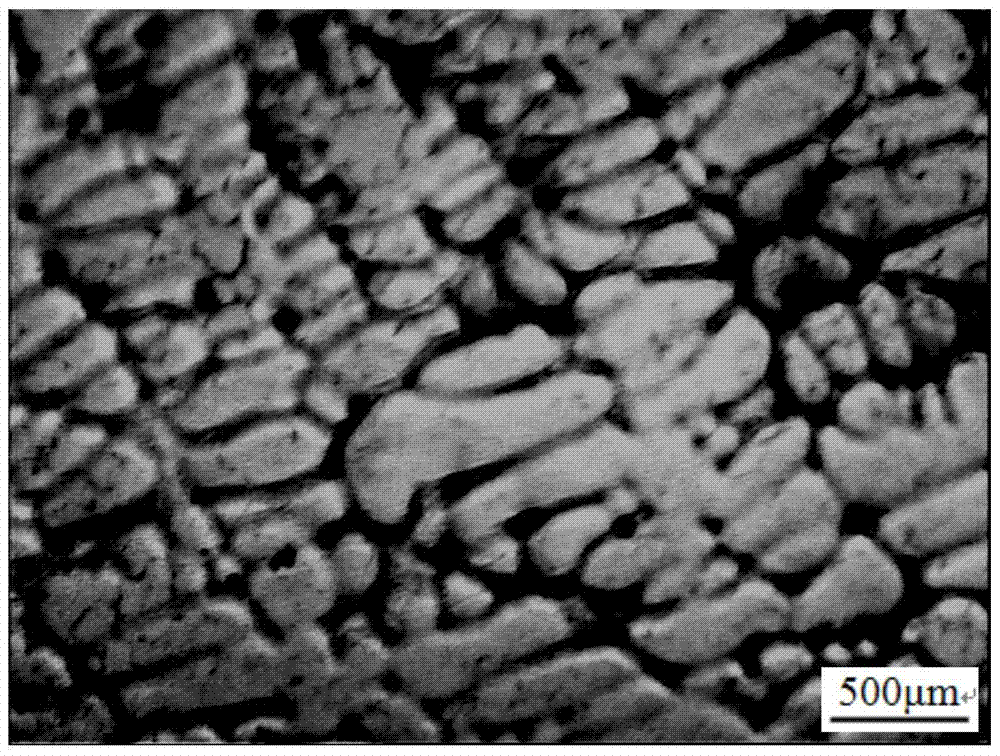 An etchant and etching method for displaying solidified dendrite structure of medium and high-grade non-oriented silicon steel