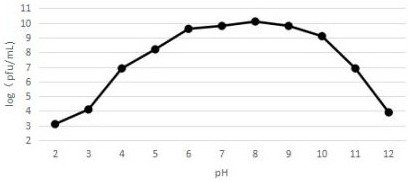 Isolation and application of a lytic coliphage rdp-ec-16029