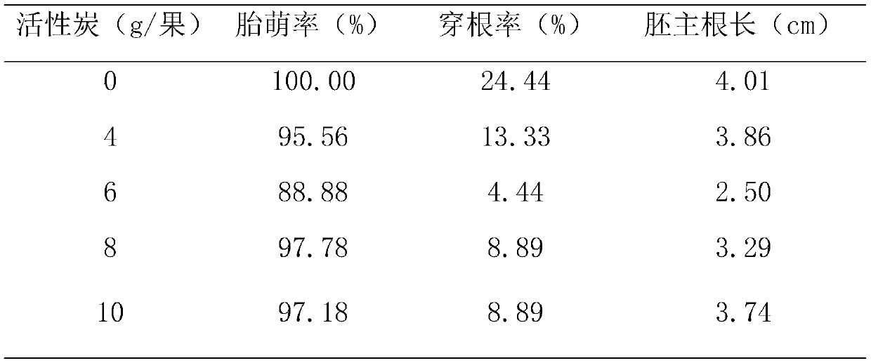 Method for preventing and treating vivipary radicle-caused pulp penetration disease in Keitt mango