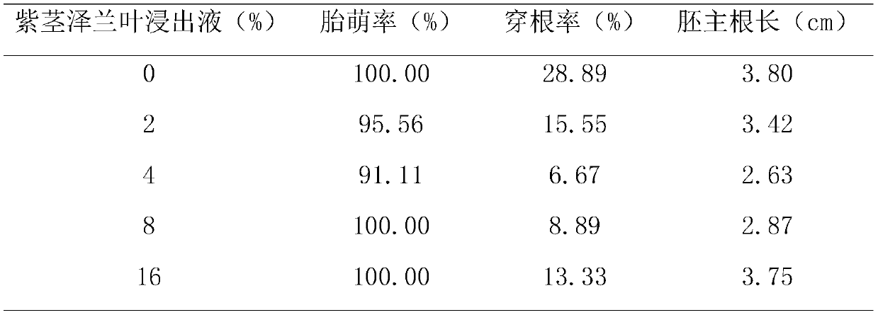 Method for preventing and treating vivipary radicle-caused pulp penetration disease in Keitt mango