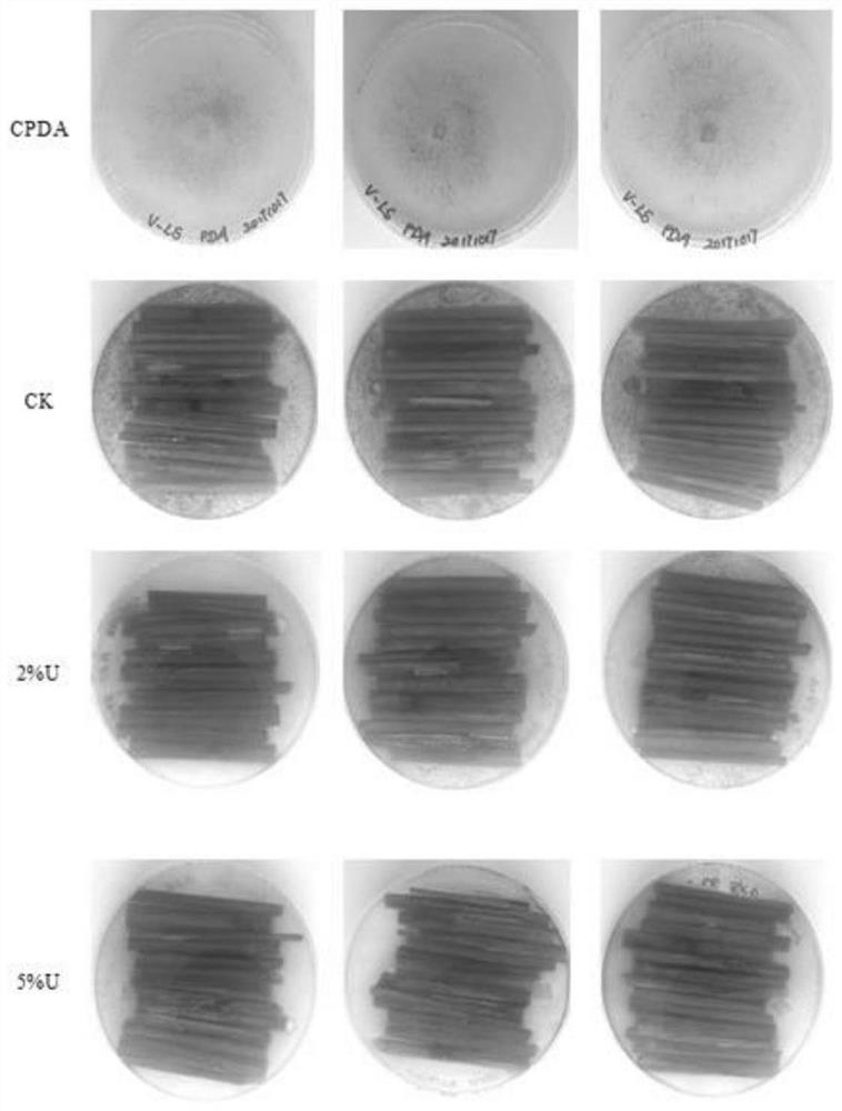 A preparation method of culture medium for preservation of straw ...