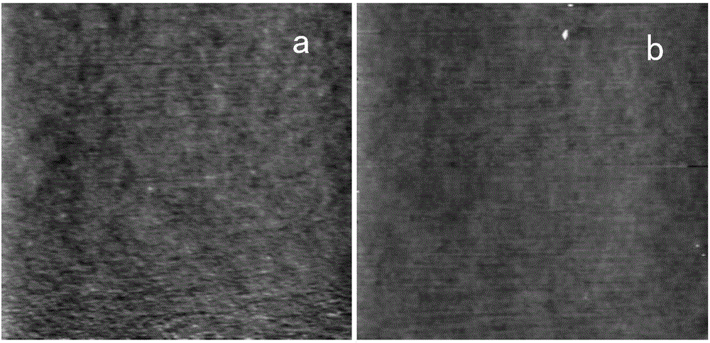 Polymer blend film inhibiting protein adsorption as well as preparation method and application thereof