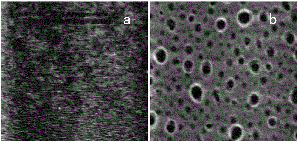 Polymer blend film inhibiting protein adsorption as well as preparation method and application thereof