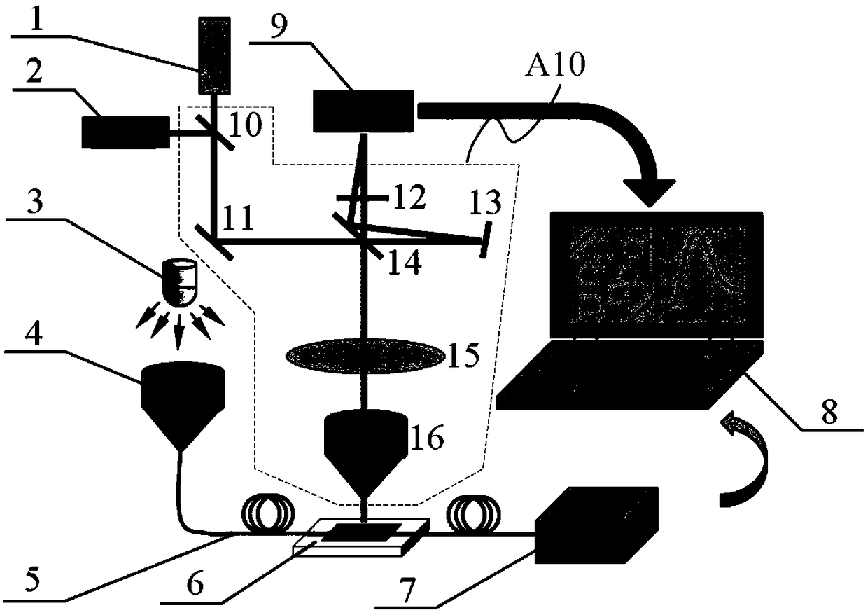 A biosensing calibration method, calibration system and disease detection system