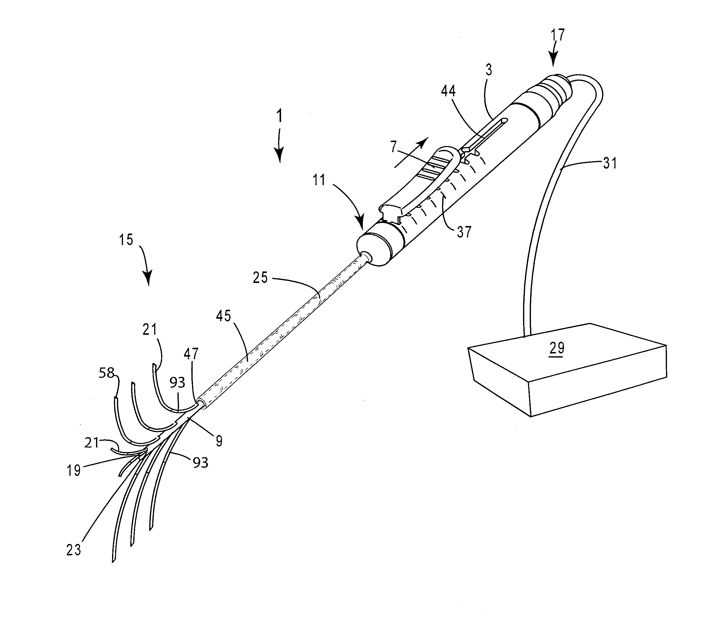 Dual bracketed energy delivery probe and method of use