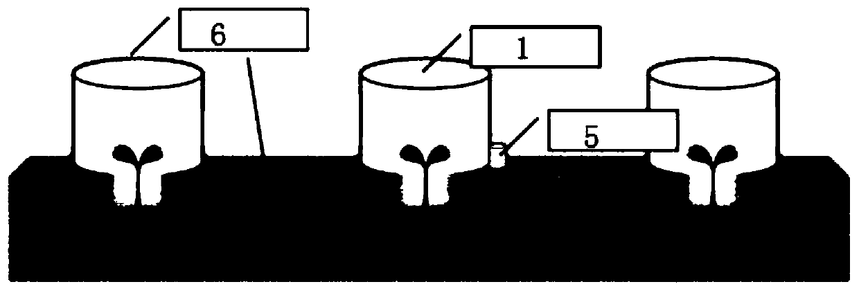 Tobacco three-dimensional transplanting method based on liquid mulching film