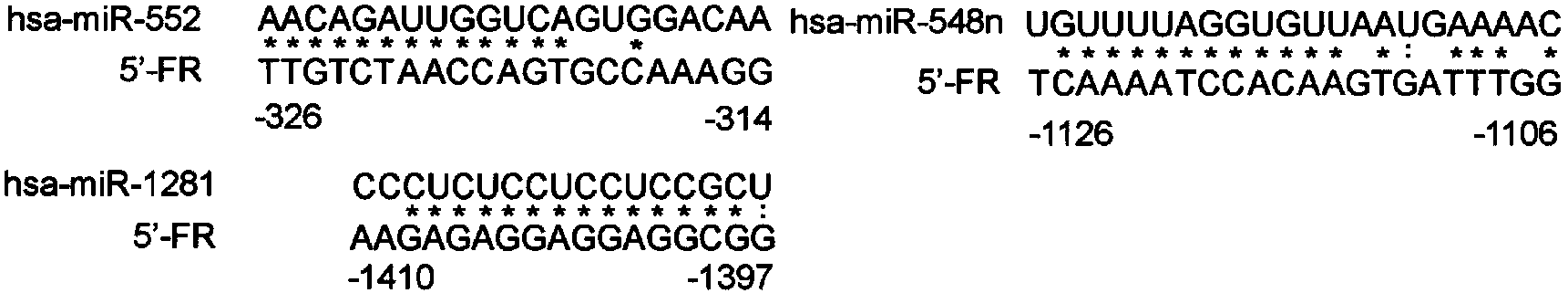 Method for screening microRNA having transcribing and post-transcriptional gene silencing functions