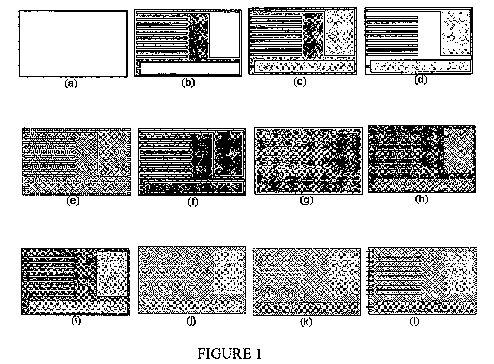Matrix array nanobiosensor