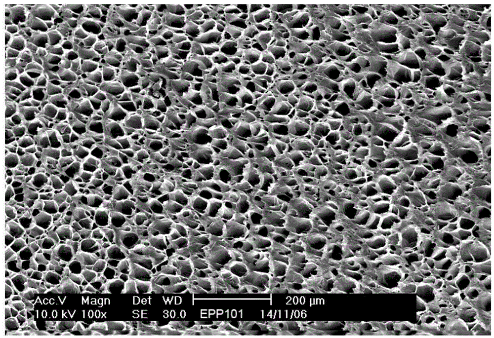 High-melt strength high-impact polypropylene foaming expanded beads and preparation method thereof