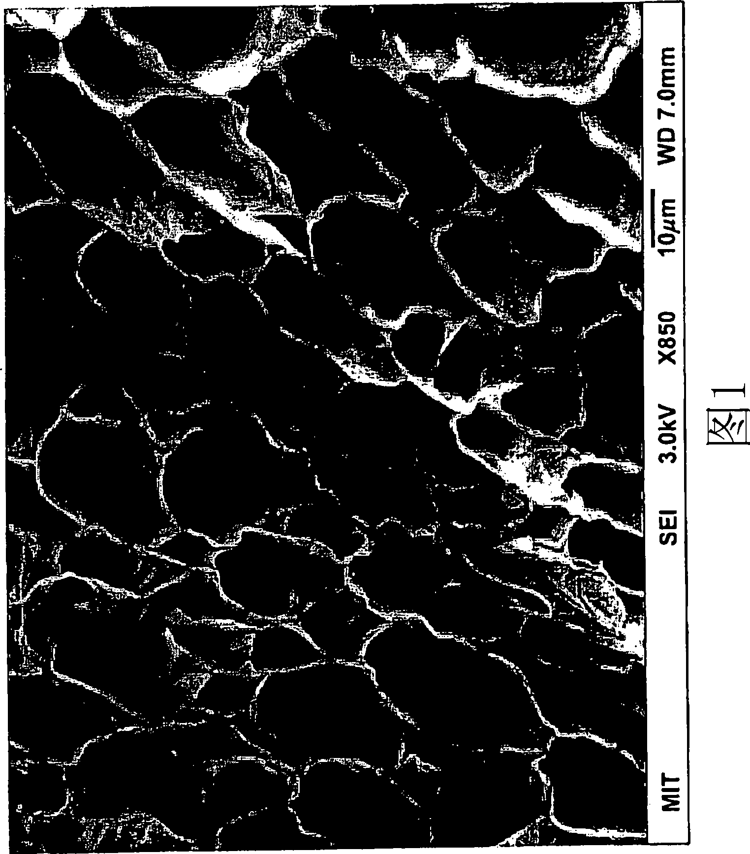 Compositions and methods for inhibiting adhesions