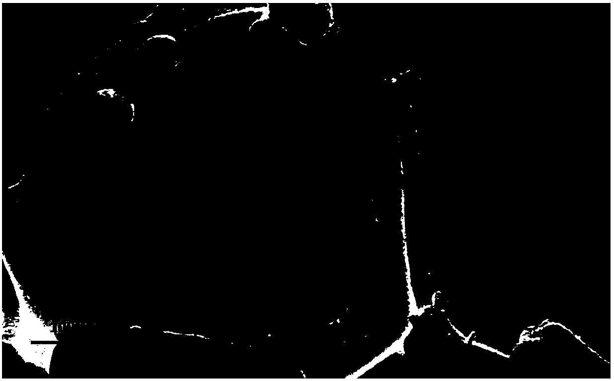 A kind of oil-water separation material and using method thereof