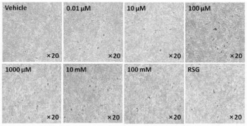 Sweetening agent and preparation method thereof