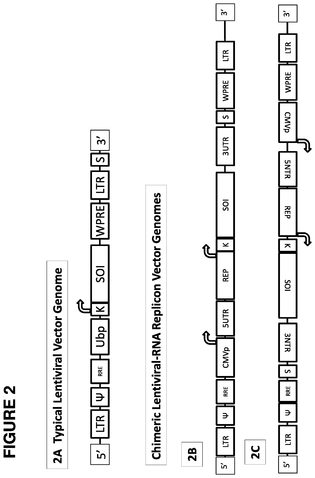 A retroviral vector for the administration and expression of replicon RNA expressing heterologous nucleic acids