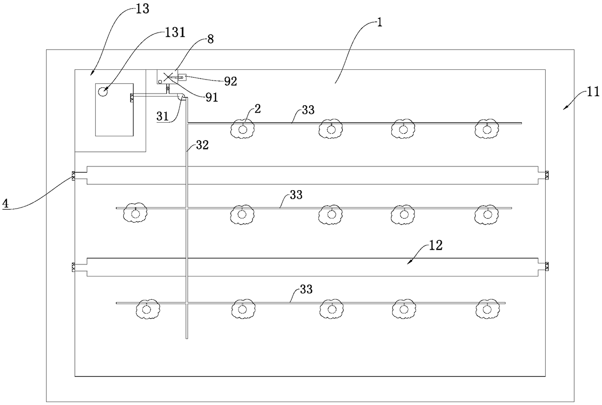 Irrigation and fertilization system for mango orchard