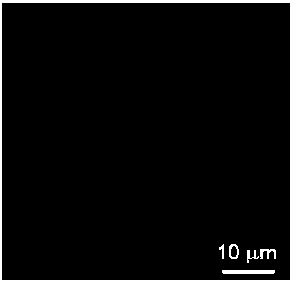 Fluorescent staining reagent for detecting the dead and alive state of bacteria and fungi, preparation method and application