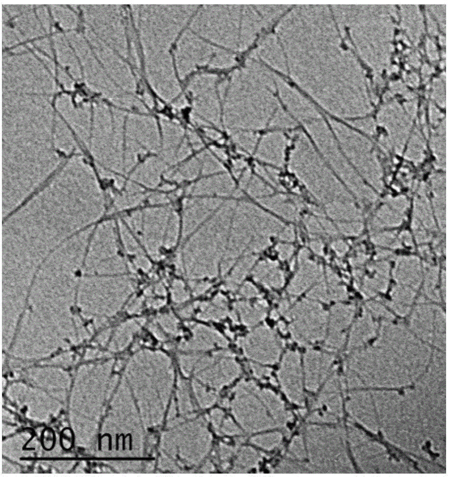 Allophane silicon nanotube hybridized forward osmosis membrane