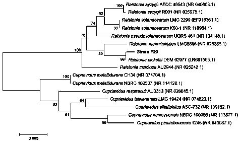 Quorum sensing signal molecule DSF (Diffusible Signal Factor) quenching strain and application thereof