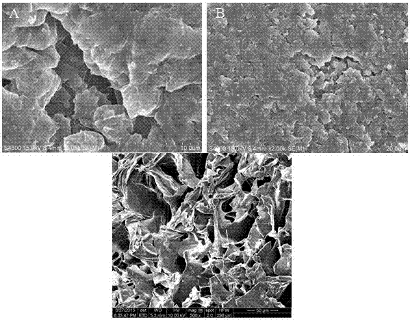 A kind of bone tissue engineering scaffold material and preparation method thereof