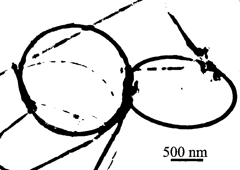 Method for synthesizing silicon nitride nano ring by CVD (chemical vapor deposition) method